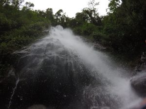 Pacay Waterfall at El Pahuma