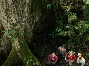 Fig 2019 students under huge Ceiba tree