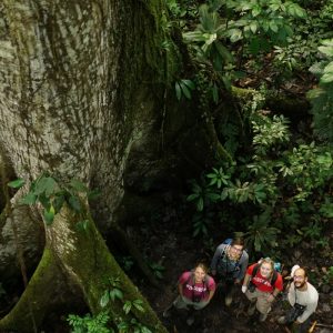FIG 2019 students under towering Ceiba tree