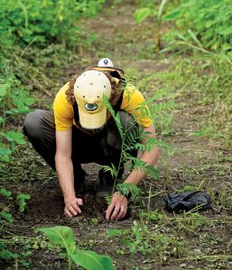 TCS Student Plants Trees in Agroforestry Plot