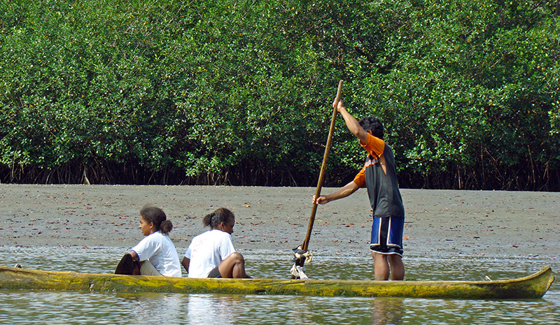 Mangrove boat
