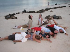 Students Mimic Sea Lions in Galapagos