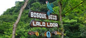 Lalo Loor Dry Forest Sign