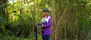 Agroforestry farmer stands in her plot.