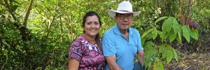 Loor family reforests with native saplings