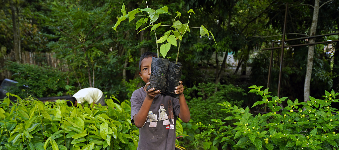 Ceiba Foundation for Tropical Conservation