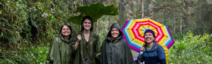 Ceiba Foundation team in tropical forest