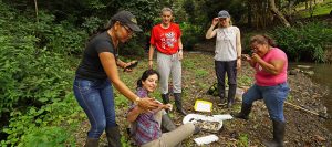 Conservation interns join community water sampling project