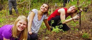 Planting trees at Campos permaculture farm