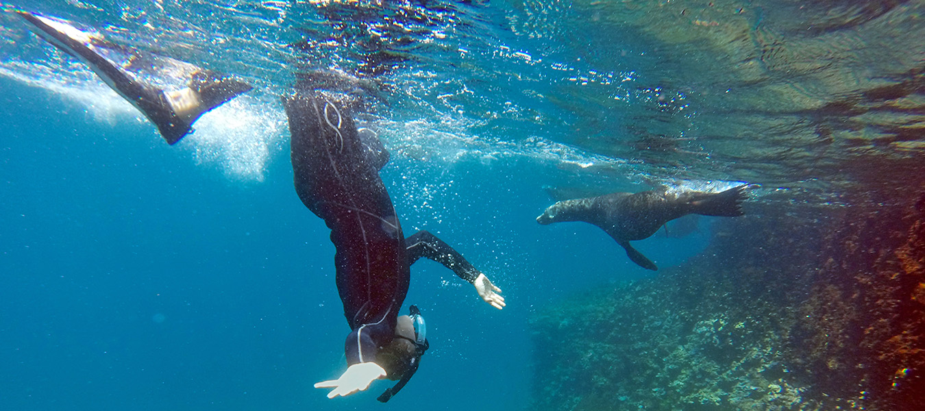 Ceiba Foundation for Tropical Conservation