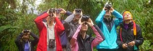 Students birdwatch in El Pahuma cloud forest