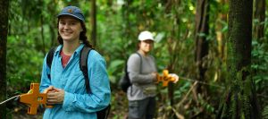 Terrestrial Ecology in Amazon Rainforest